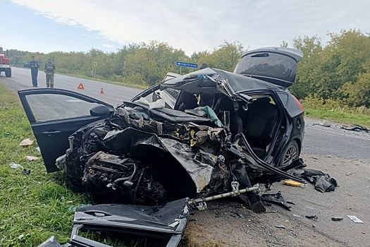 В Омской области в ДТП с КамАЗом погиб водитель легковушки
