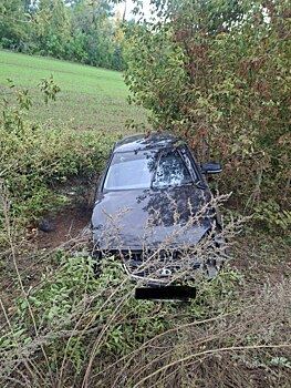 Слетел в кювет: в Грачевском районе в ДТП погиб 46-летний мужчина