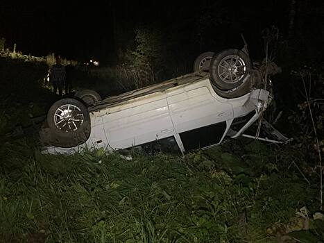 Трое человек пострадали при столкновении «Гранты» и «Ниссана» в Завьяловском районе