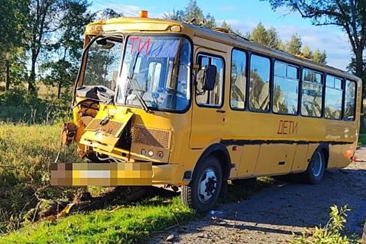 Под Калининградом школьный автобус врезался в дерево, есть пострадавшие