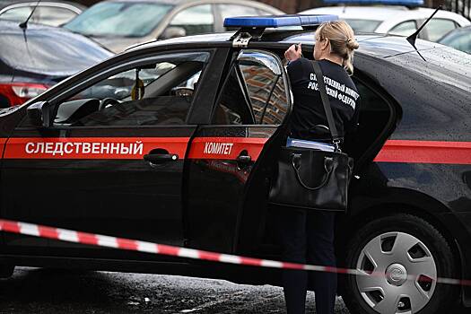 Заммэра наехал на россиянку с двумя детьми