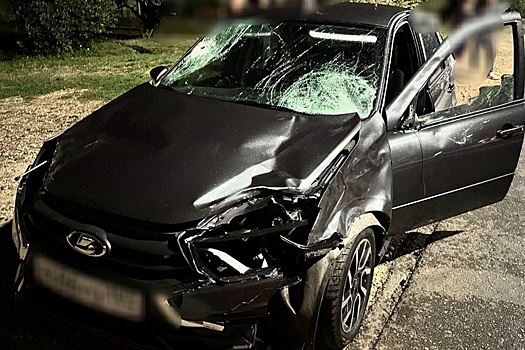 На Кубани двое подростков погибли под машиной на пешеходном переходе