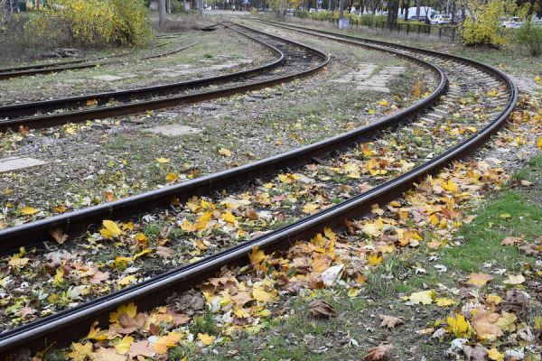 Езду по трамвайным путям планируют приравнять к мелкому хулиганству