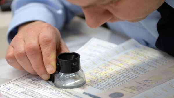 Россиянам назвали пять бесплатных баз для проверки машины перед покупкой