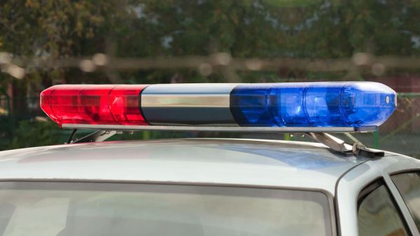 Россиянина лишили водительских прав из-за наезда на кота