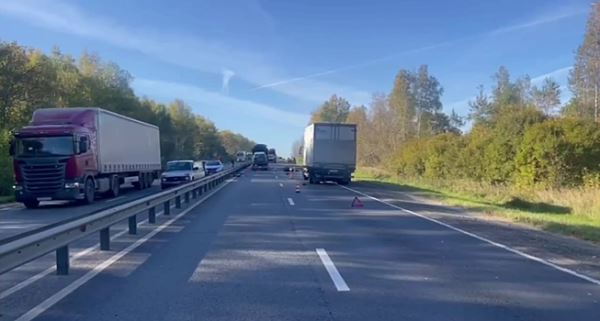 Мотоциклист погиб в ДТП с грузовиком в Нижегородской области