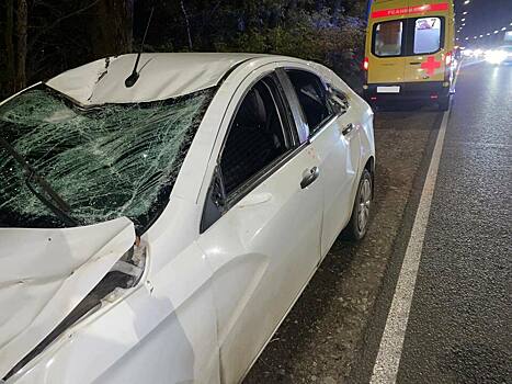 На Макарьевской дамбе водитель «Весты» сбил лося